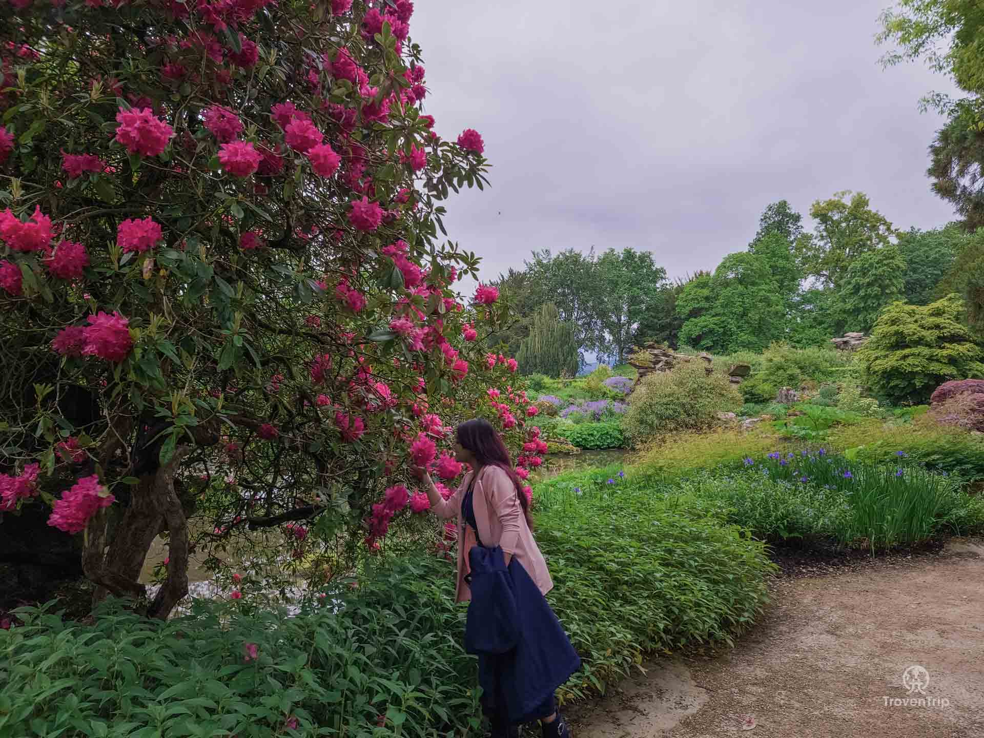 Chatsworth House Garden