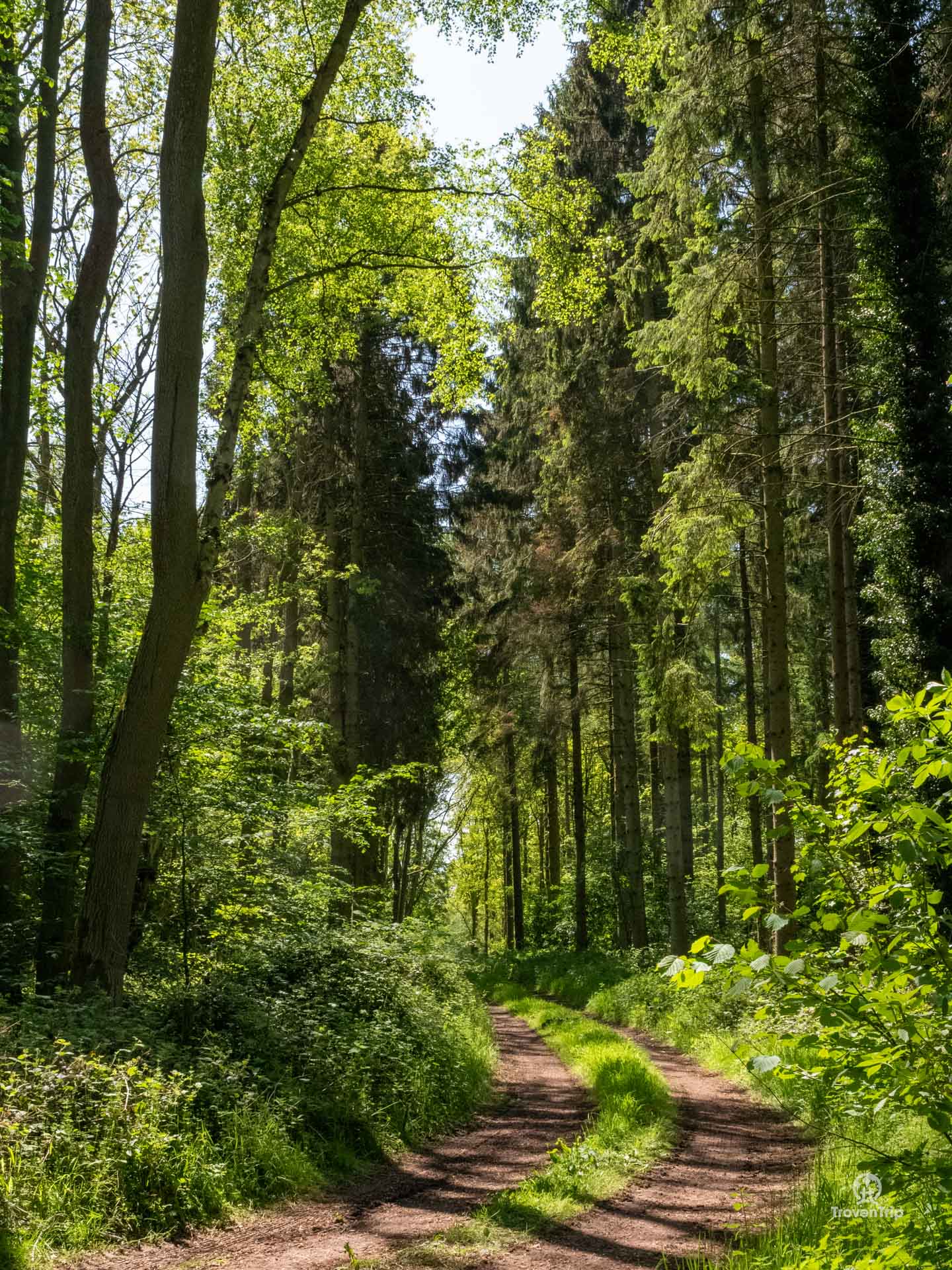 Hiking trails in the Lincolnshire Wolds