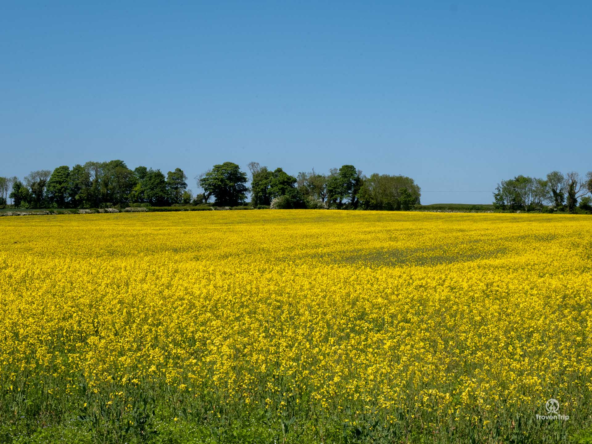 Hiking trails in the Lincolnshire Wolds