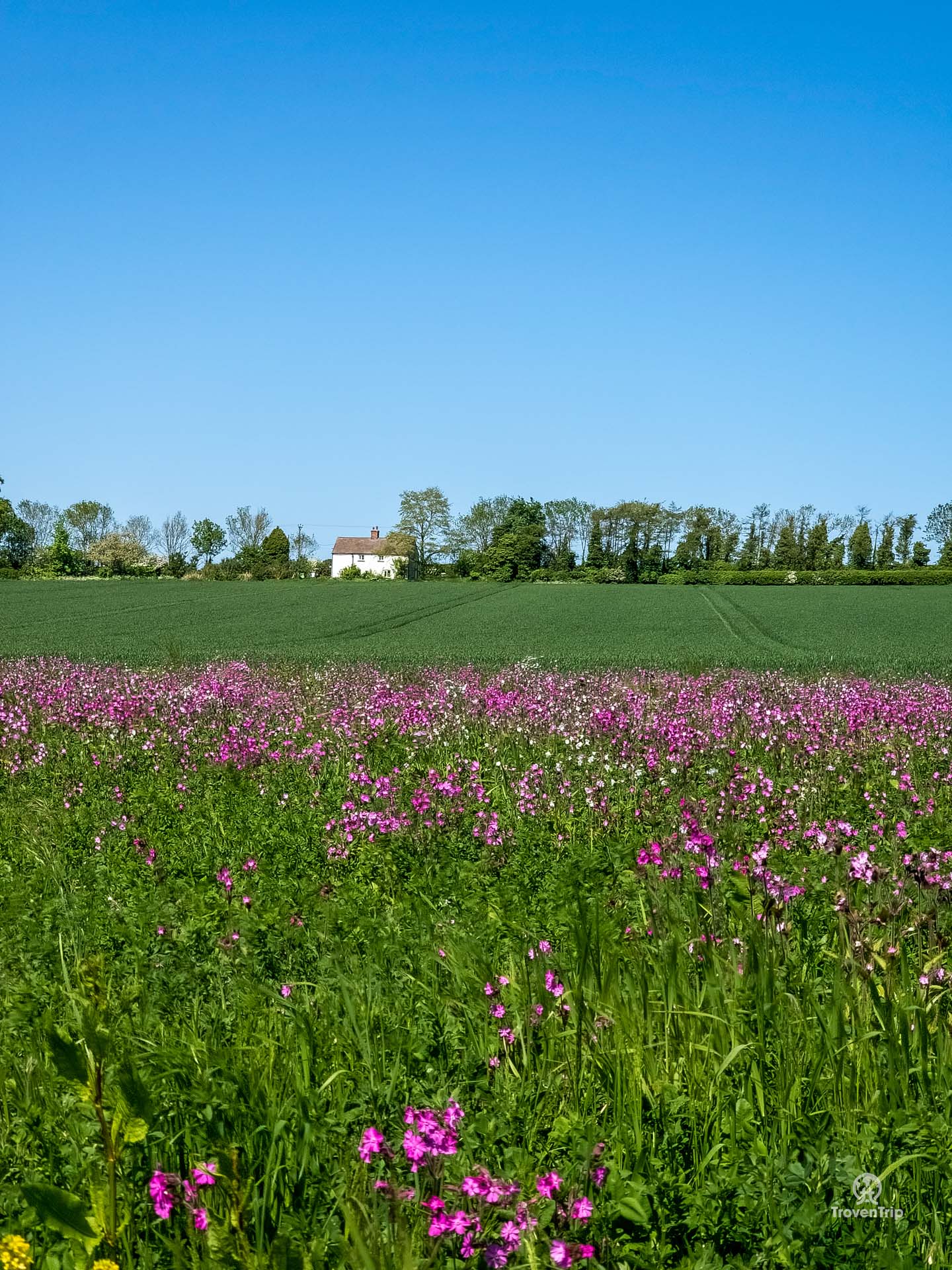 Hiking trails in the Lincolnshire Wolds