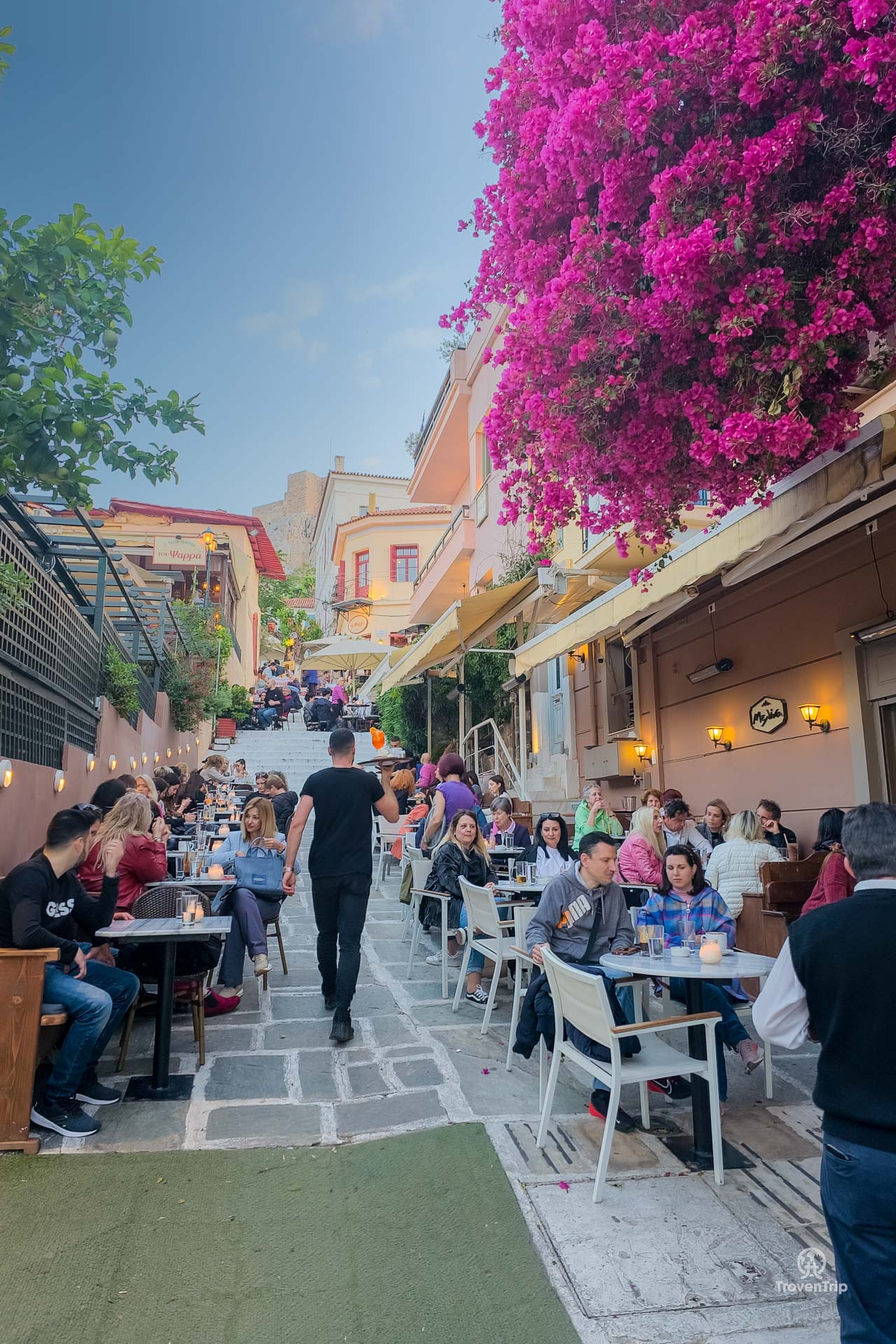 best restaurants in plaka athens